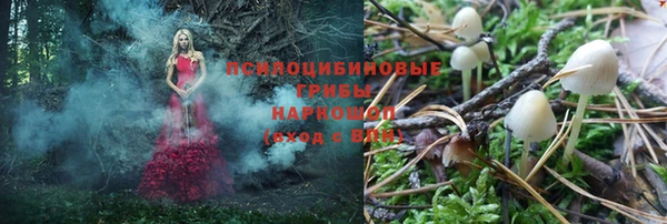 гашиш Апатиты
