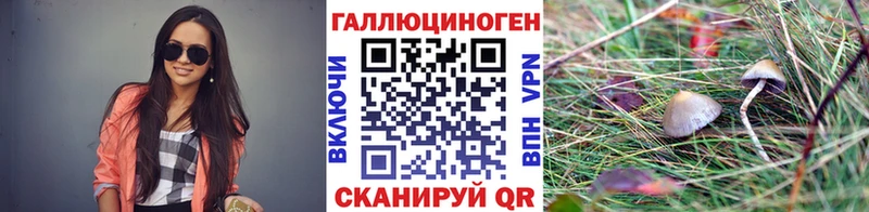 площадка формула  Калязин  Галлюциногенные грибы Magic Shrooms 