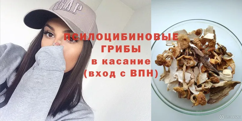 Псилоцибиновые грибы Magic Shrooms  мега   Калязин  где купить наркоту 